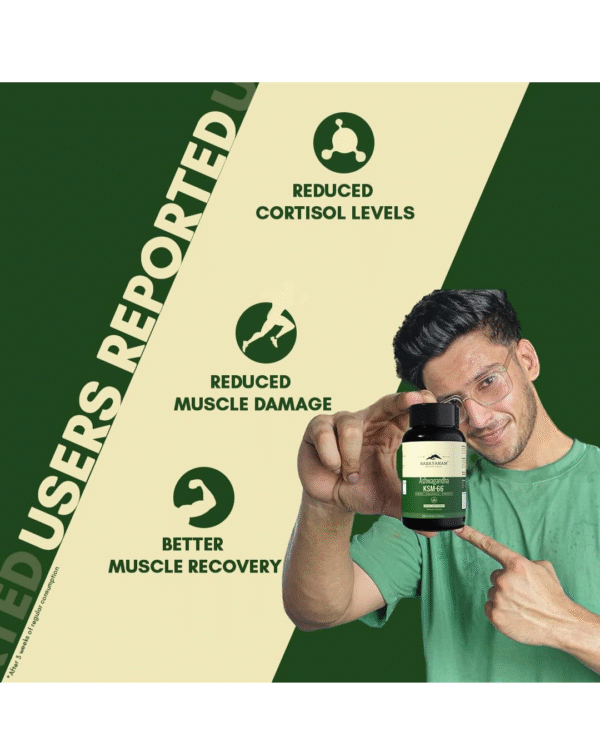 Rasayanam Ashwagandha KSM-66 (500 mg) | Extra Strength Natural Formulation - Image 2