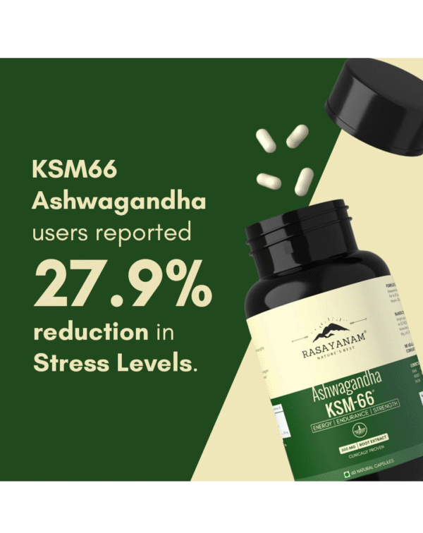Rasayanam Ashwagandha KSM-66 (500 mg) | Extra Strength Natural Formulation - Image 3
