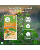 Organic India Tulsi Ginger Turmeric - 25 Tea Bags