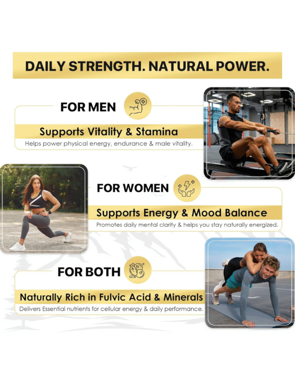 MORA Shilajit Capsules – 15000 mg Equivalent | 15:1 Gold‑Grade Extract with 70%+ Fulvic Acid - Image 2