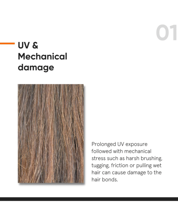 Minimalist Serum for Repairing Damaged Hair | Maleic Bond Repair Complex 05% Hair Serum with Amino Acids - Image 3