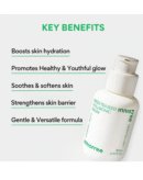 Innisfree Green Tea Hyaluronic Hydrating Serum