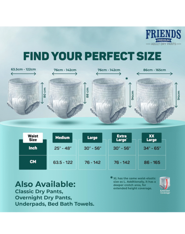 Friends Premium Adult Diapers Pants Style - 30 Count (Large) with odour lock, Unisex - Image 4