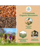 Organic India Turmeric Formula - 60 Veg Capsules