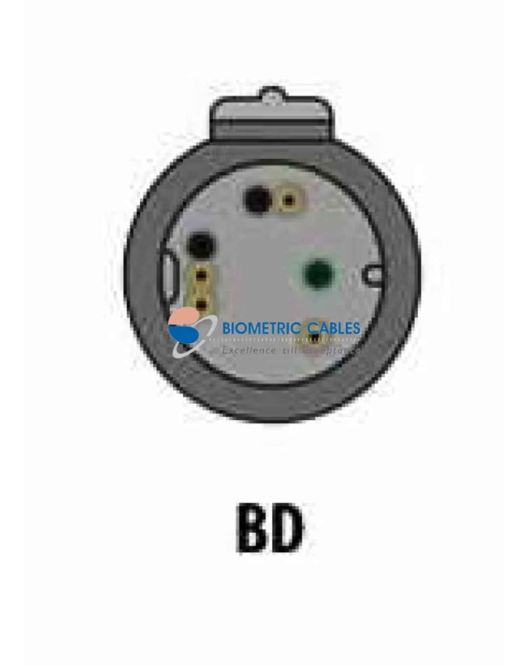 Bionet IBP Adapter Cable(BD ) Compatible with Datascope/Mediana/Mindray/Philips/Schiller/Spacelabs - Image 3