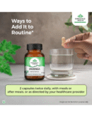 ORGANIC INDIA Moringa Essential Nutrition -Pack of 60 N Veg Capsules