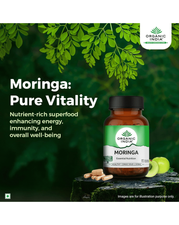 ORGANIC INDIA Moringa Essential Nutrition -Pack of 60 N Veg Capsules - Image 3