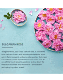 Lotus Professional Dermo Spa Bulgarian Rose Radiance Day Cream