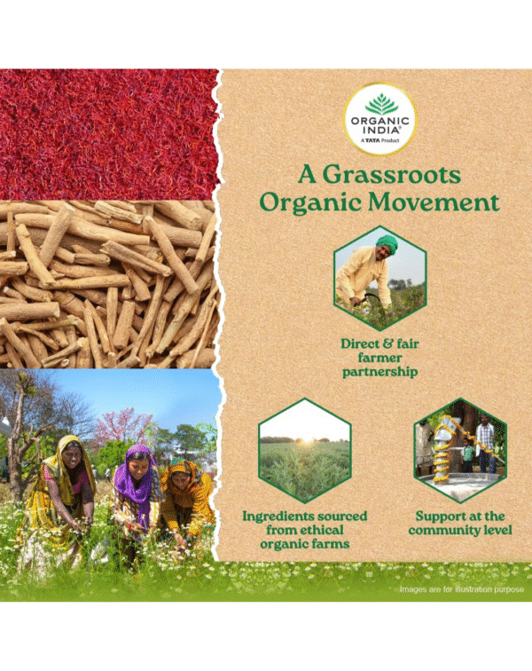 A TATA Product - Organic India OH-Boy - 30 Veg Capsules - Image 4