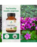 ORGANIC INDIA Sugar Balance -Pack Of 60 N Veg Capsules
