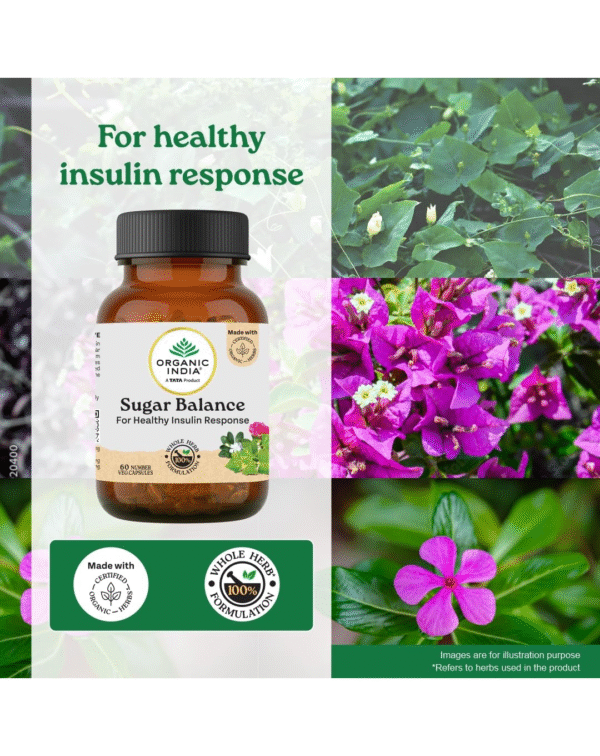 ORGANIC INDIA Sugar Balance -Pack Of 60 N Veg Capsules - Image 3