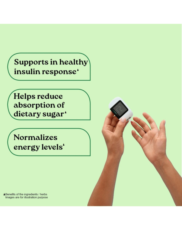 ORGANIC INDIA Sugar Balance -Pack Of 60 N Veg Capsules - Image 4