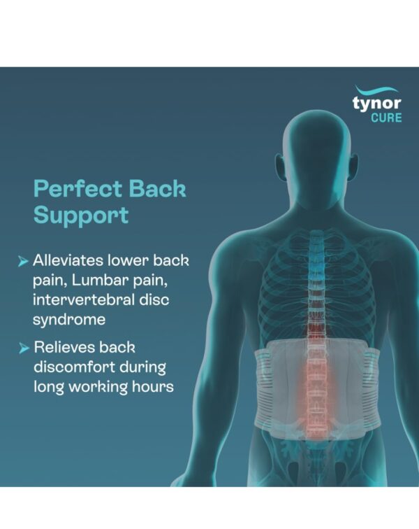 TYNOR Contoured Lumbar Sacral Support - Image 2