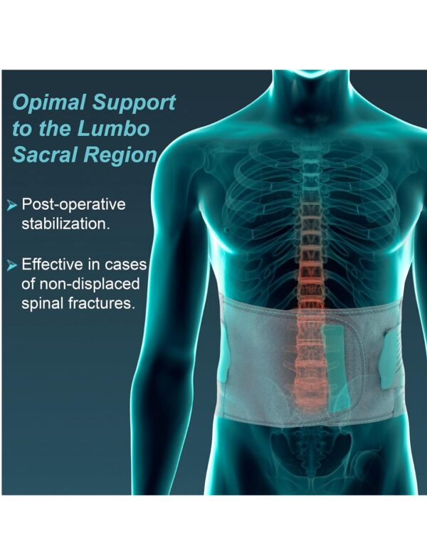 TYNOR LS Belt Lumbpore for Lower Back Support - Image 3
