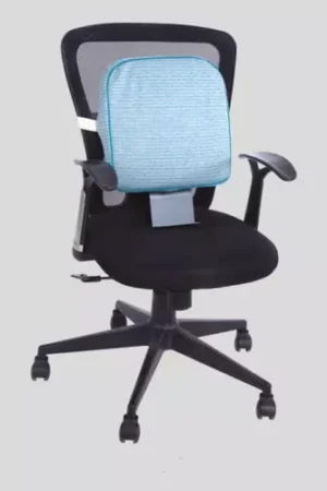 Flamingo Premium Memory Foam Back Rest Pillow - With Height Adjustable Stand