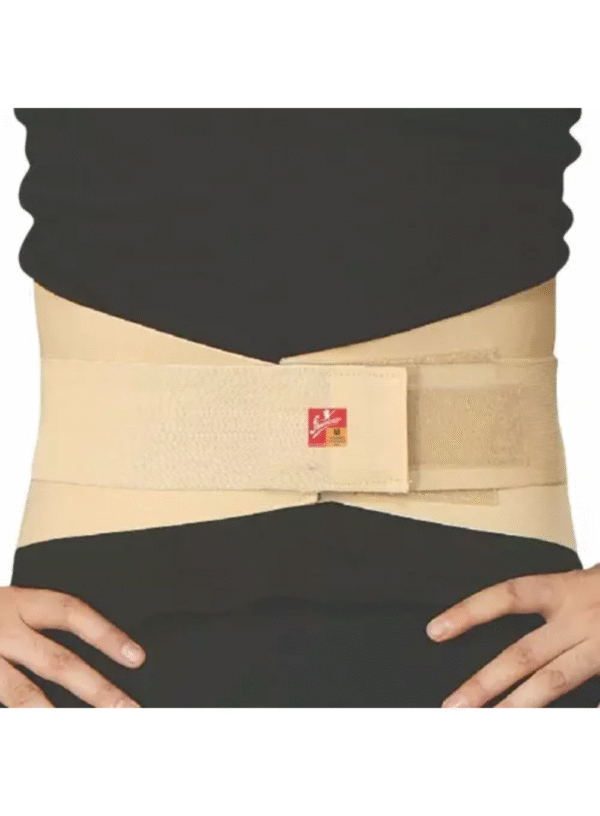 Flamingo Lumbar Corset Belt-XXL