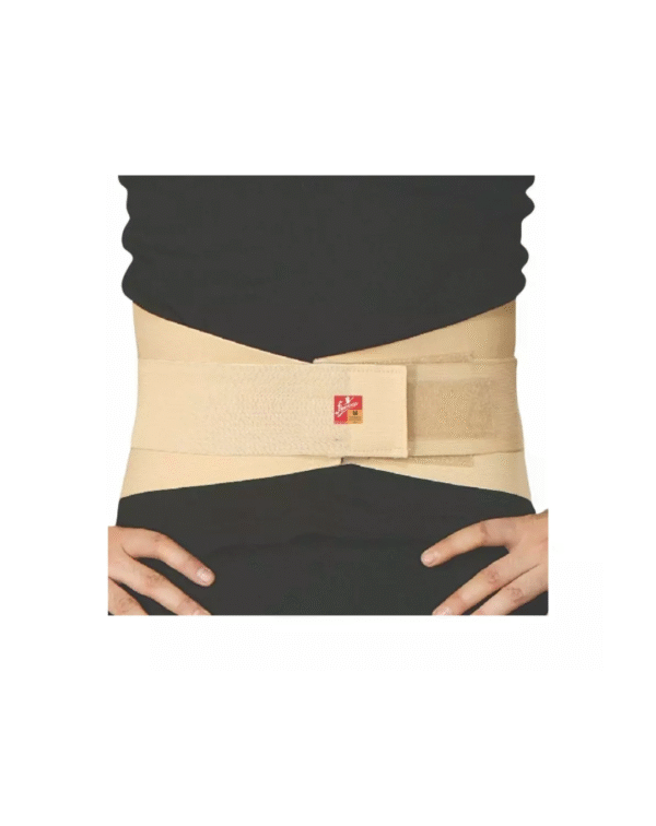 Flamingo Lumbar Corset Belt-XXL