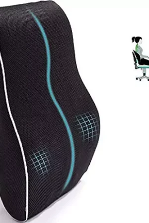 ADOFYS Lumbar Support Pillow | Orthopedic Pillow for Back Pain with Memory Foam | Posture Pillow for Lumbar Support for Car Seat & Office-Chair