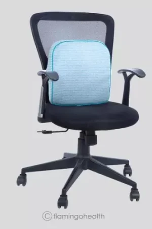 Flamingo Premium Memory Foam Back Rest Pillow - (Without Stand)